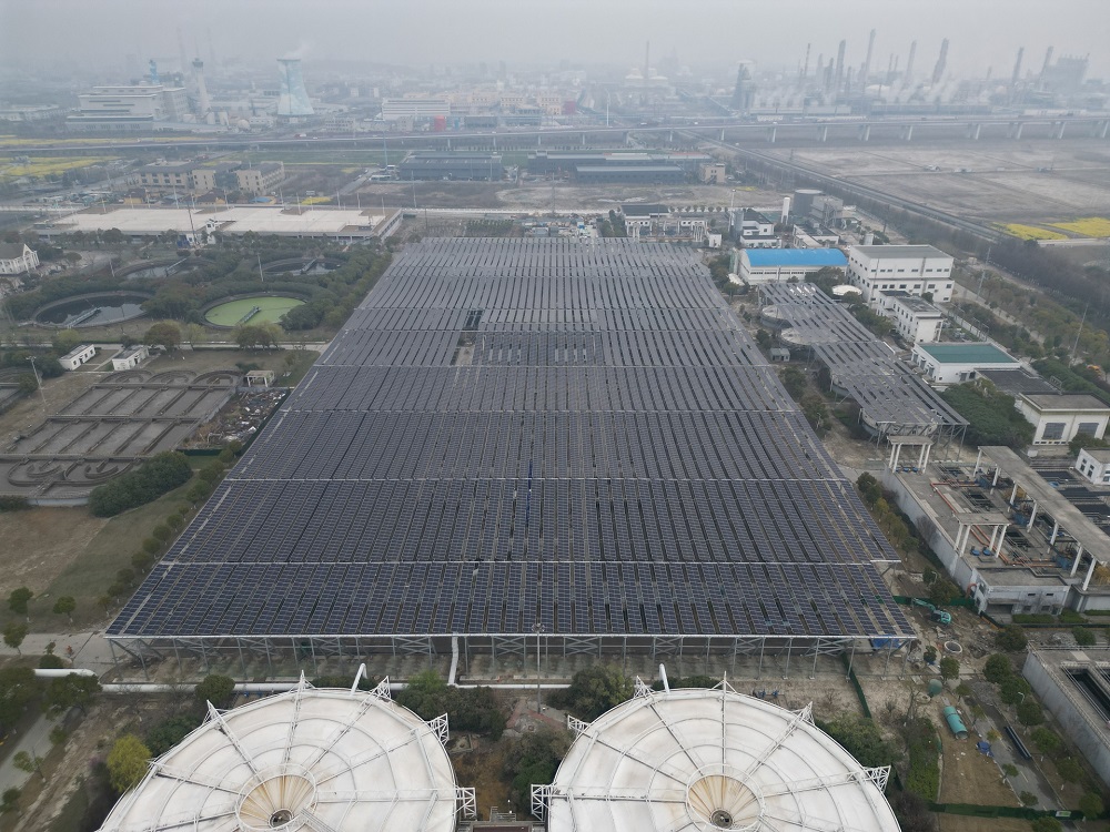 DJI_0203