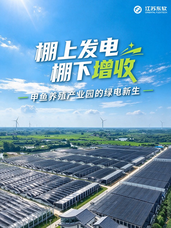 实景案例 | 渔光互补新样本：甲鱼养殖与光伏的共生实践